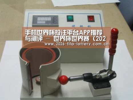 投注app案例展示六(图1)