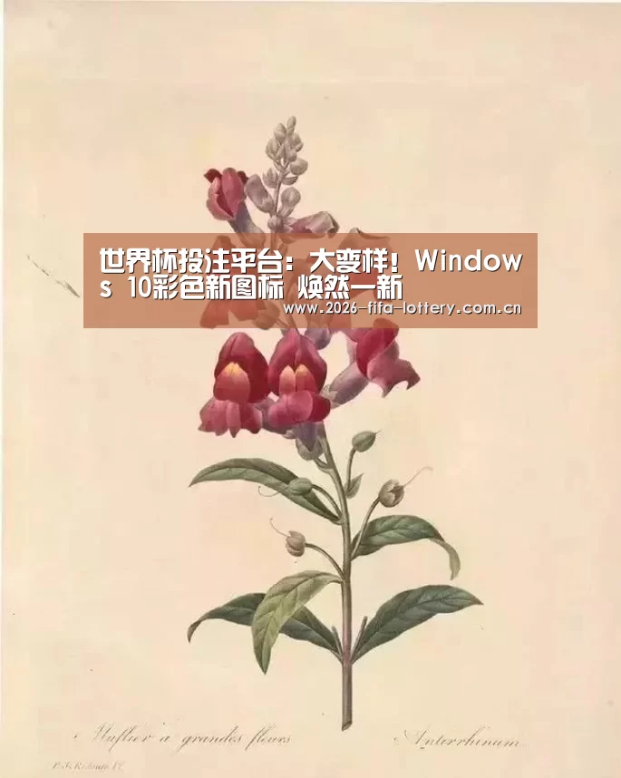 世界杯投注平台