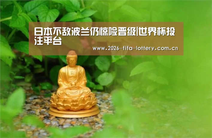 投注app